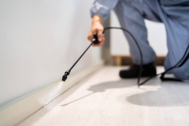 Licensed Mosquito Control service in Dubuque, IA - Show Me Pest Control