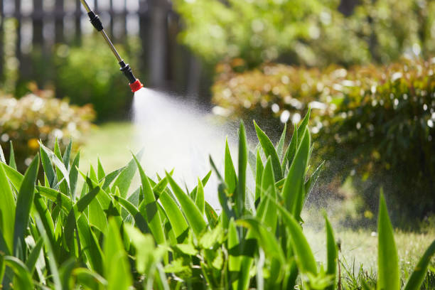 24/7 Emergency Mosquito Control experts in Dubuque, IA